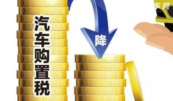 新车交税在哪里交的