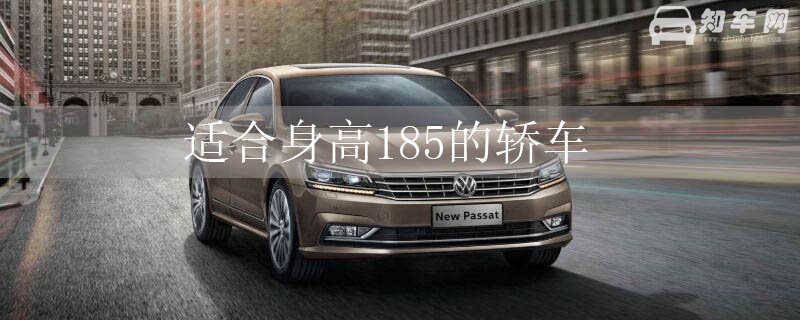 适合身高185的轿车
