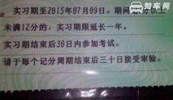 实习期驾照