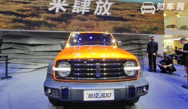 wey300是什么品牌车