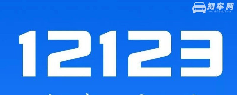 12123车辆型号搜不出来