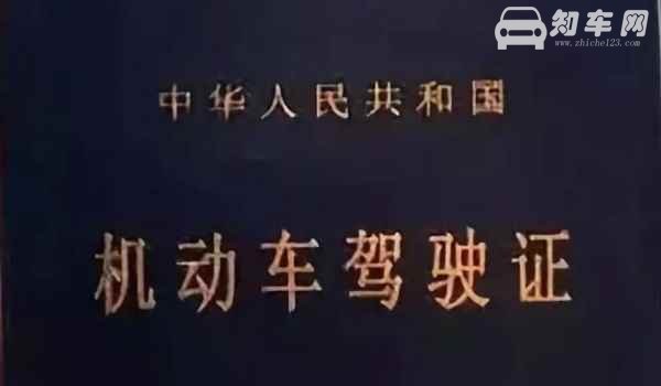怎么查自己考驾照的成绩