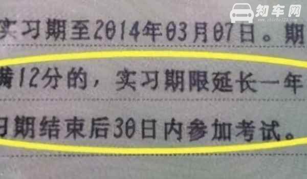 驾驶证实习期一年后要换证吗