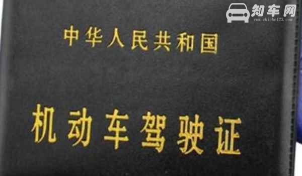 老司机贴新手会扣分吗