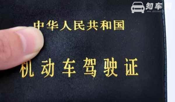 老司机贴新手会扣分吗