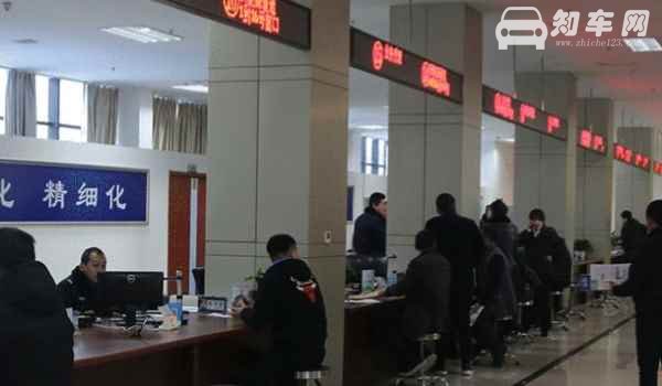 车牌琴是哪个省份