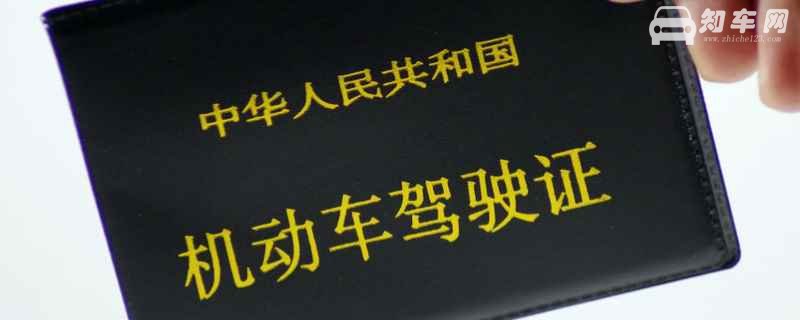 驾照上的照片是自己带还是现场拍