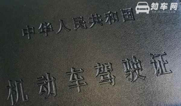 驾照上的照片是自己带还是现场拍