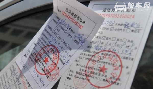 查询车辆违章只需要输入车牌号就行了吗