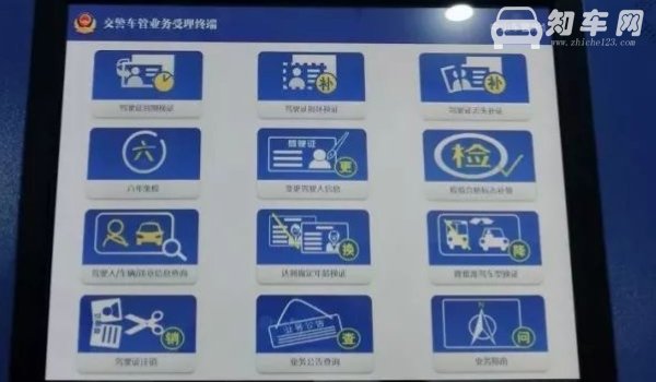 驾照照片不露耳朵行吗