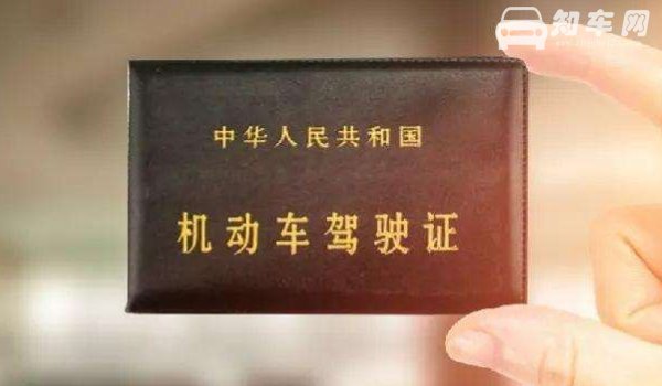 驾驶证证件照什么底色