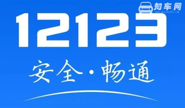 哪些城市开通了电子驾驶证