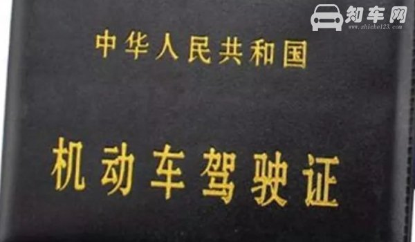 驾照c1d是什么意思