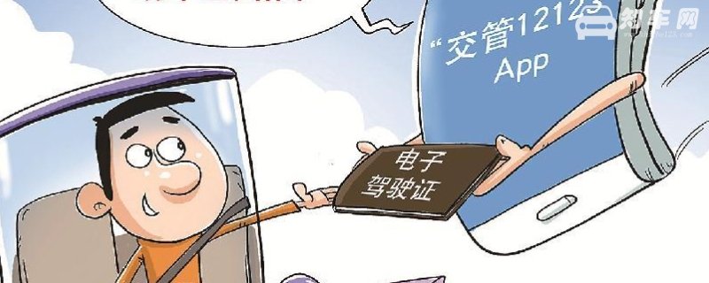 哪几个省开通了电子驾驶证