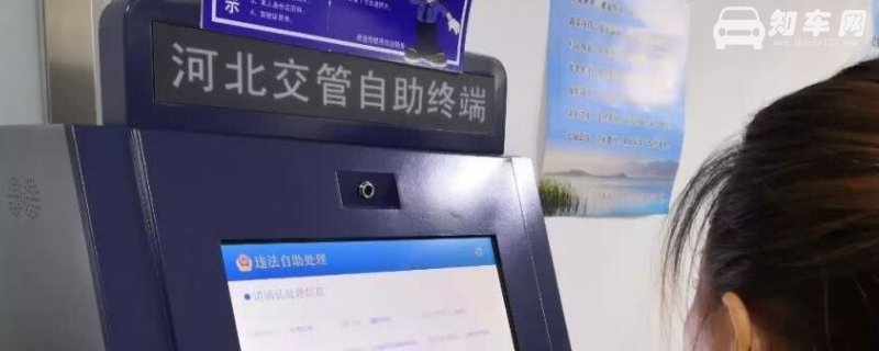 机动车违章多久可以查到