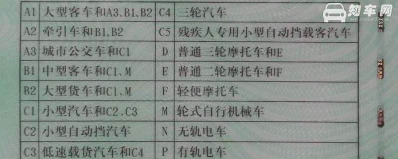 有C1想考D不增驾行吗