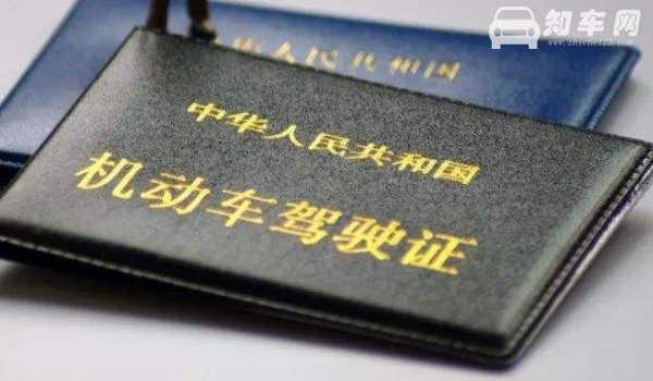 有C1想考D不增驾行吗