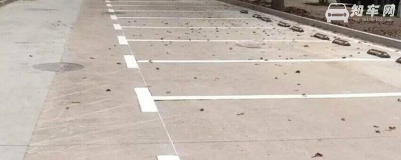 白色停车位是免费的么