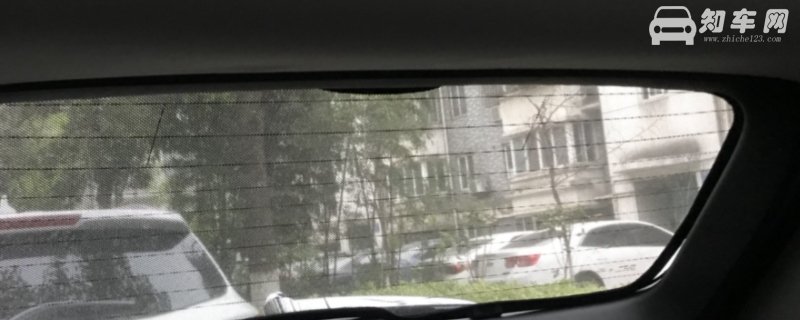 车里面的蚊子跟着车飞吗