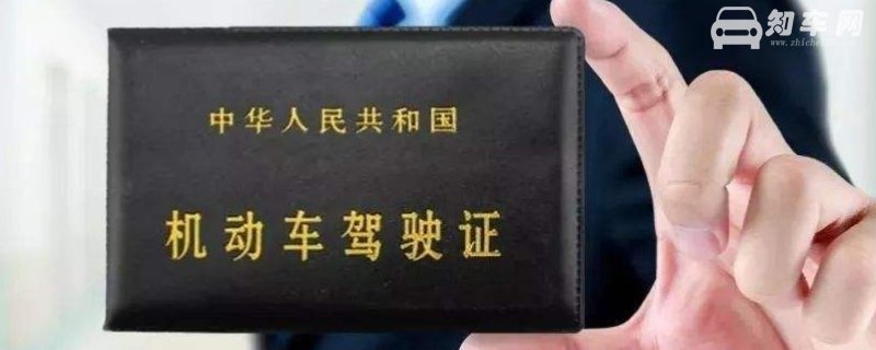 驾照照片可以自己带吗