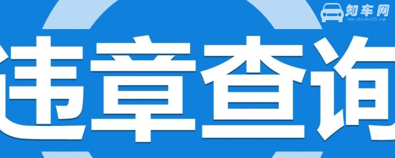 违章24小时能查到吗
