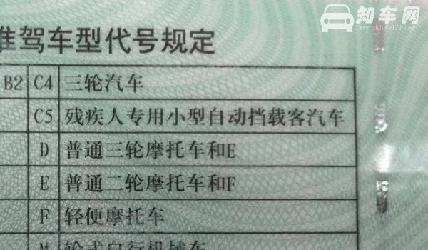 c5驾照在哪个驾校可以报名