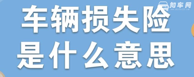 机动车损失险包括哪些项目