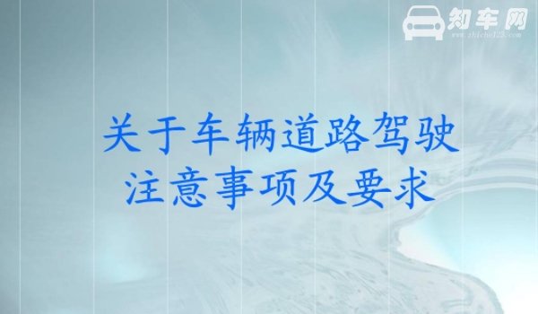 交叉路口两条平行白色虚线是什么