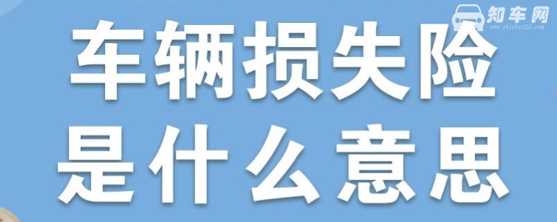 车辆损失险是什么意思