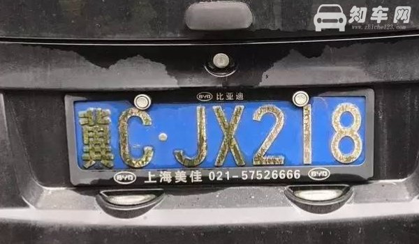 青是哪里的车牌哪个省