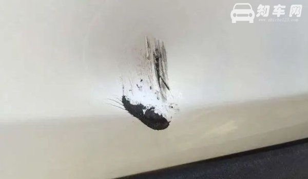 保险杠刮蹭有必要修吗（需要维修）