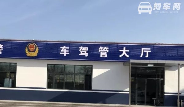 小车违章多久能查到
