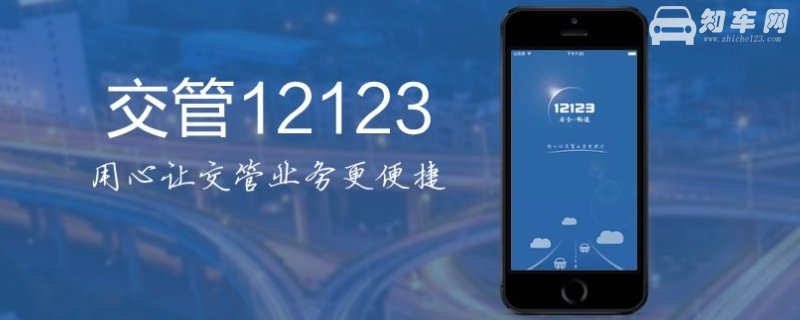 小车违章多久能查到