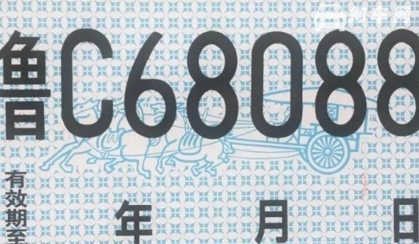 临牌有效期