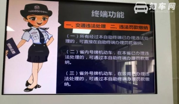 汽车违章多久能查到