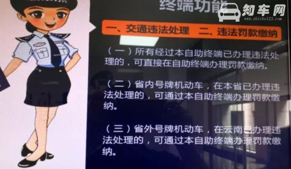 路口白色带网格线可以压吗