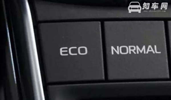 车子eco是什么意思
