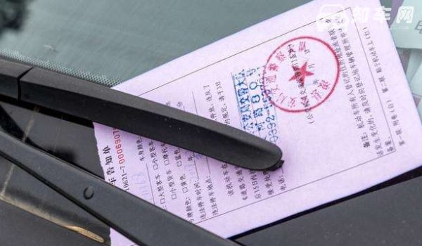 汽车违章几天能查到信息