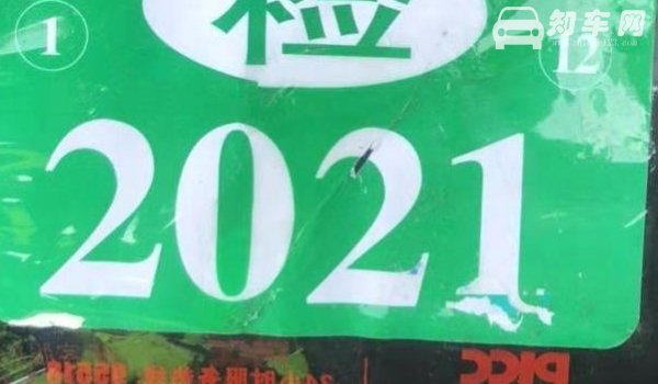 领年检标志需要带什么