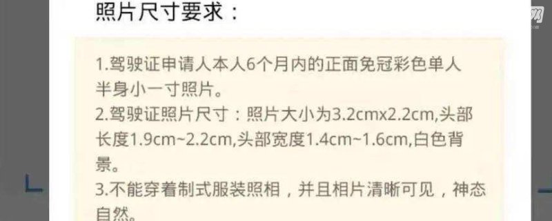 驾驶证需要几寸的证件照
