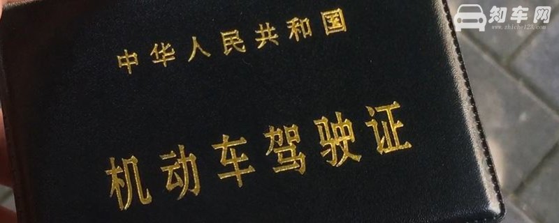 处理车辆违章需要带什么证件