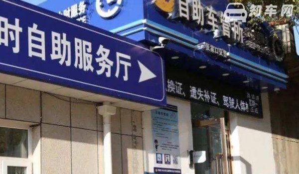 处理车辆违章需要带什么证件